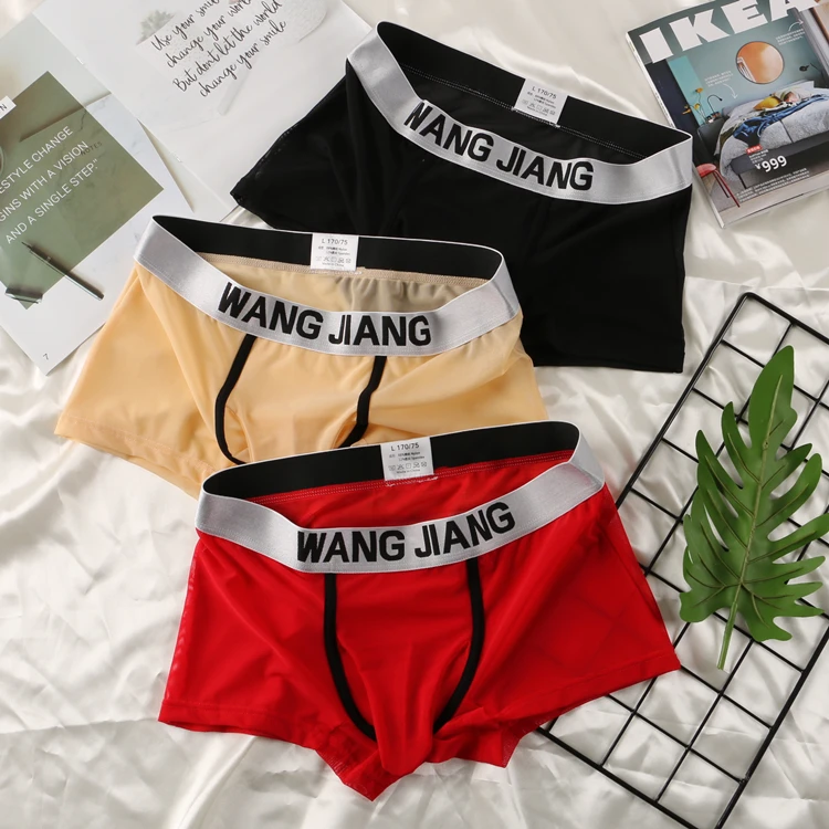 see through gays man elephant nose underwear sexy mesh boxers briefs wholesale