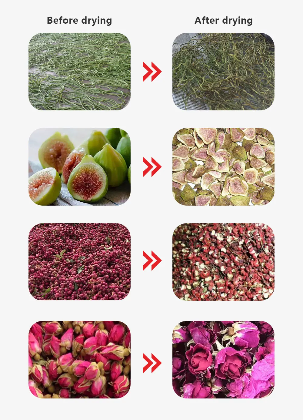 High quality 32 trays jerky food dehydrator dehydration fish drying machine