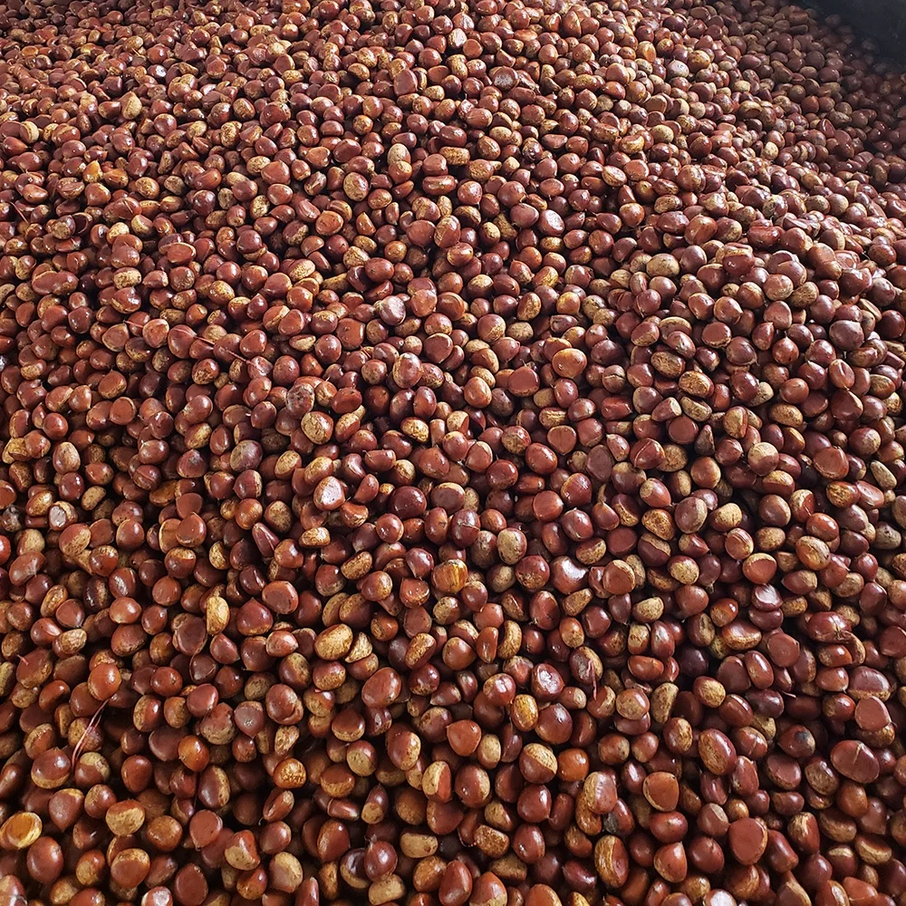 Wholesale Chestnuts individual package Chestnuts cheap prices
