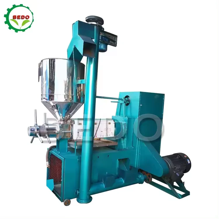 Automatic cold press sesame coconut olive Oil Press Machine for commercial use