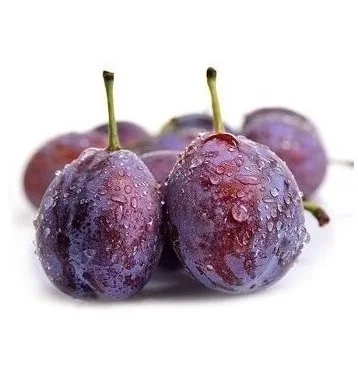 Настоятельно рекомендуемый 100% Натуральный Свежий Камень, фрукты класса А, австралийская свежая слива