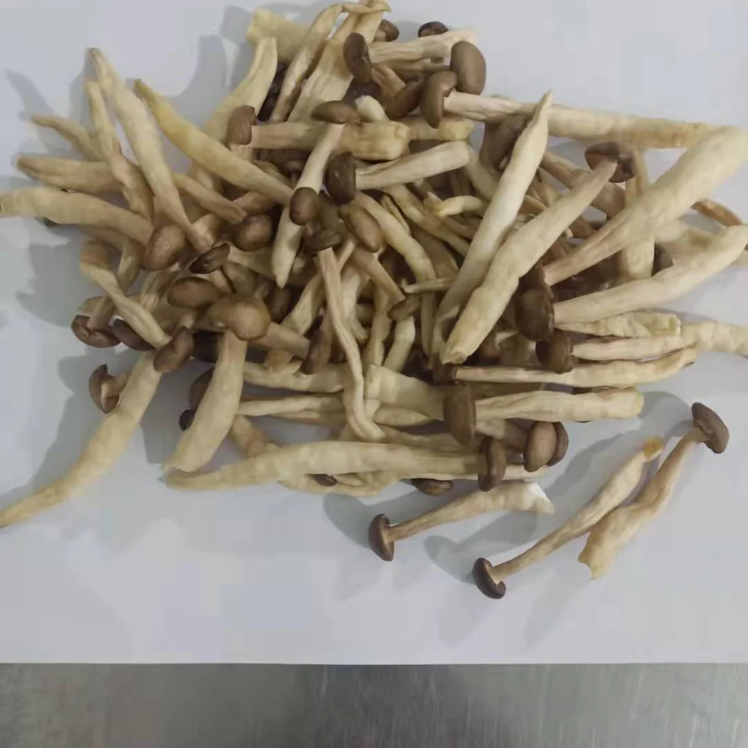 The King Of Quantity Shimeji Mushroom Chips Vacuum Fried Veggies
