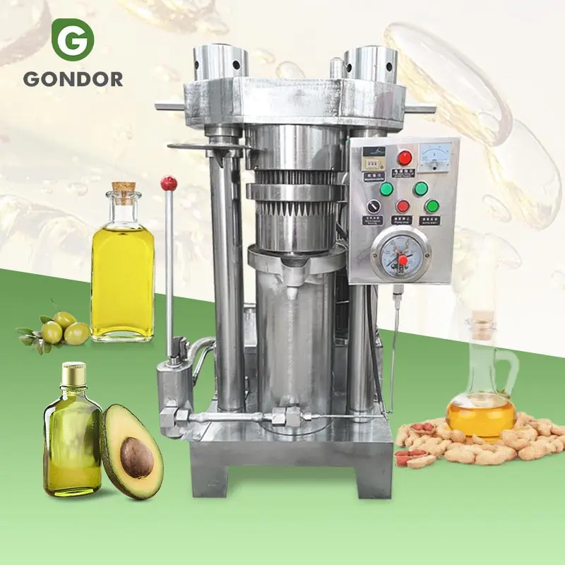 Presse a Huile Mangue Arachide Hydraulique Olive Extruder Cocoa Bean Ground Nut Oil Pressing Extract Machine