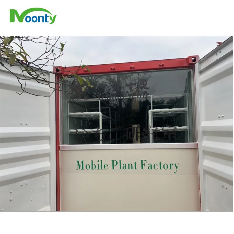 Smart NFT Farms Vertical Hydroponic Shipping Farming Container NFT Hydroponic System