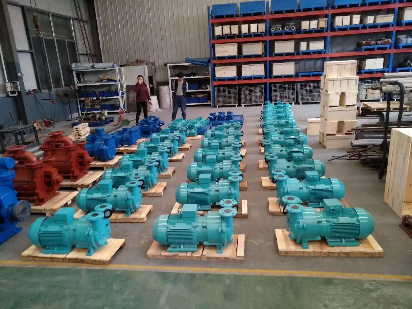 2BV2060 Single Stage ELMO Liquid Water Ring Vacuum Pump with Water Seperation Tank