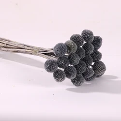 billy ball arrangement dried eternal mothers day wholesale preserve everlasting natural plants flower bouquet preserved flower