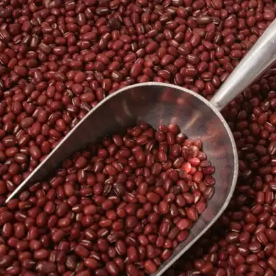 Green Mung Beans / Cowpea/ Azuki Beans/ Moong Dal