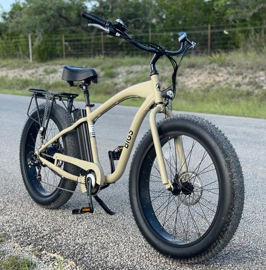 2022 Ristar mountain beach cruiser 4.0 inch fat tire 48v 500w electric bike wholesaler aluminum alloy fat tire 750w Ebike