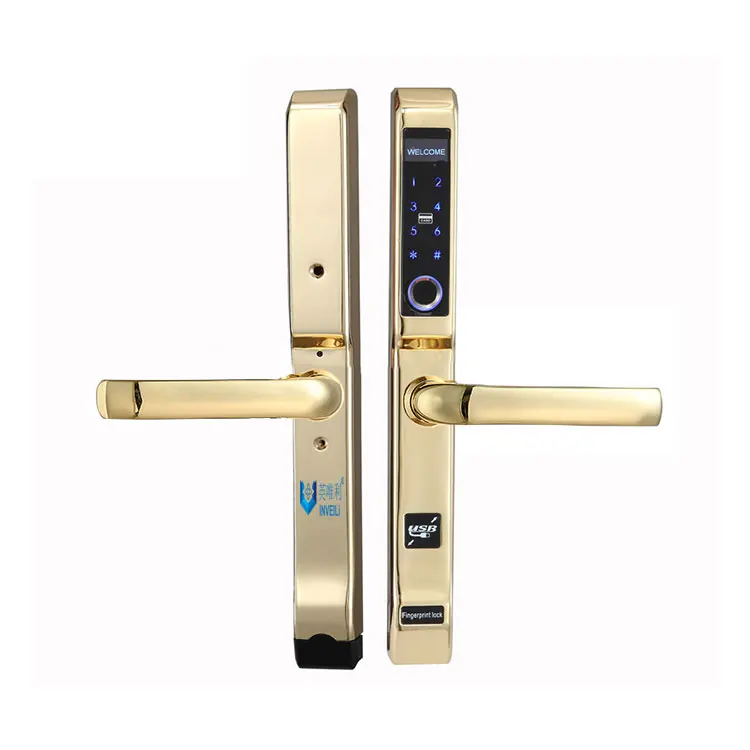 
Smart door lock Push pull outdoor smart with Wifi waterproof Fingerprint smart lock 