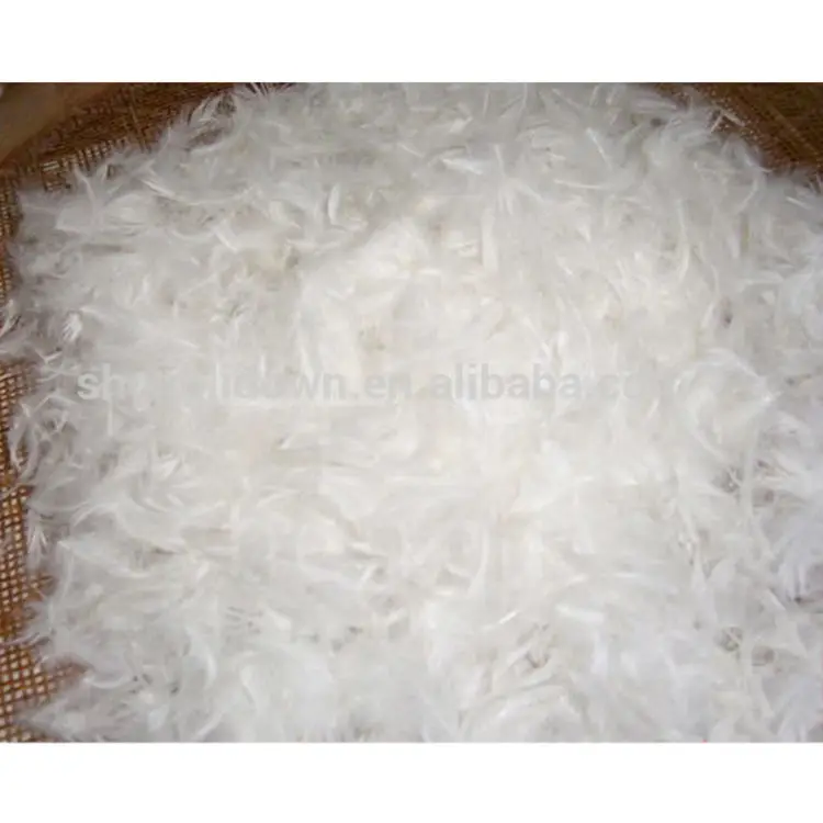 Standard white goose down duvet pillow quilt filling material raw materials