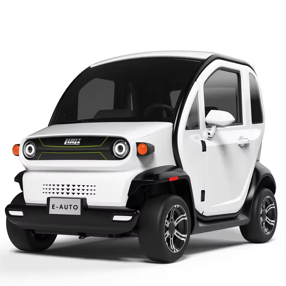 EEC Certified Adult 2 Seaters 3000W 72V Mini Electric Cars for Family