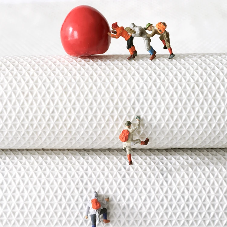 DAJIANG Bath Mat Half Ground Shape Non Slip Strong Water Adsorption Bath Mat