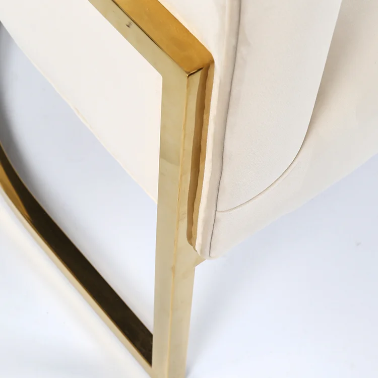 Modern Accent Chair Upholstered Stainless Steel Frame Living Room Velvet Accent Chair