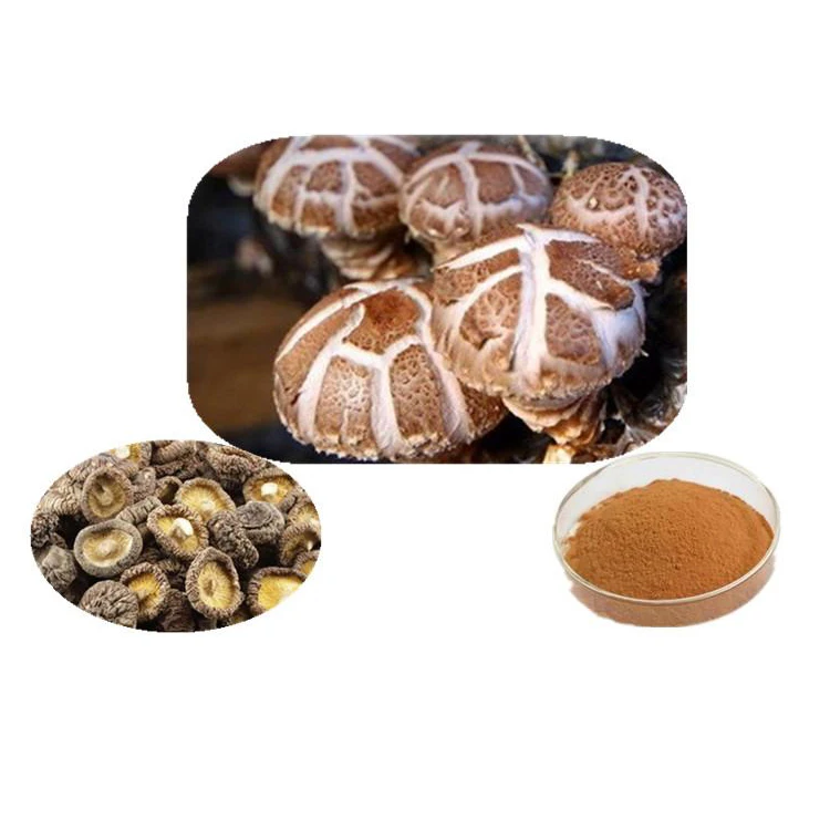 Порошок экстракта грибов Shiitake, полисахарид