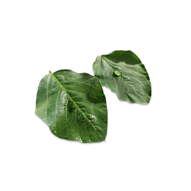 organosilicone surfactant for Agriculture