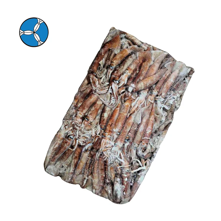 SANFENG SEAFOOD Best Price Whole Round Frozen Africa Squid