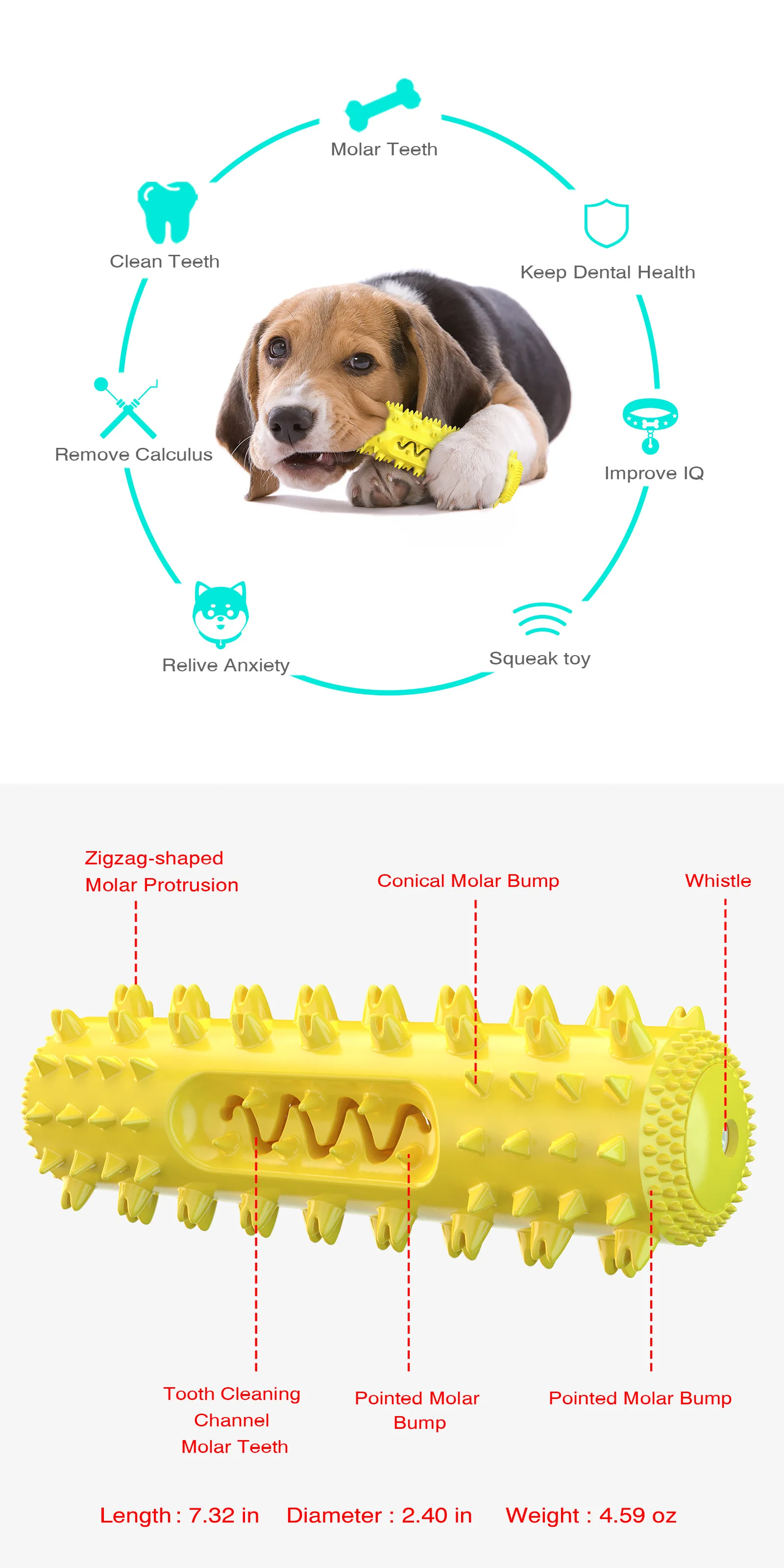 Interactive Toys Cute Funny Dental Care Dog Toothbrush Chew Toy,world voyager-12, dog toothbrush toy, dog toothbrush chew toy, chew toothbrush dog toys
