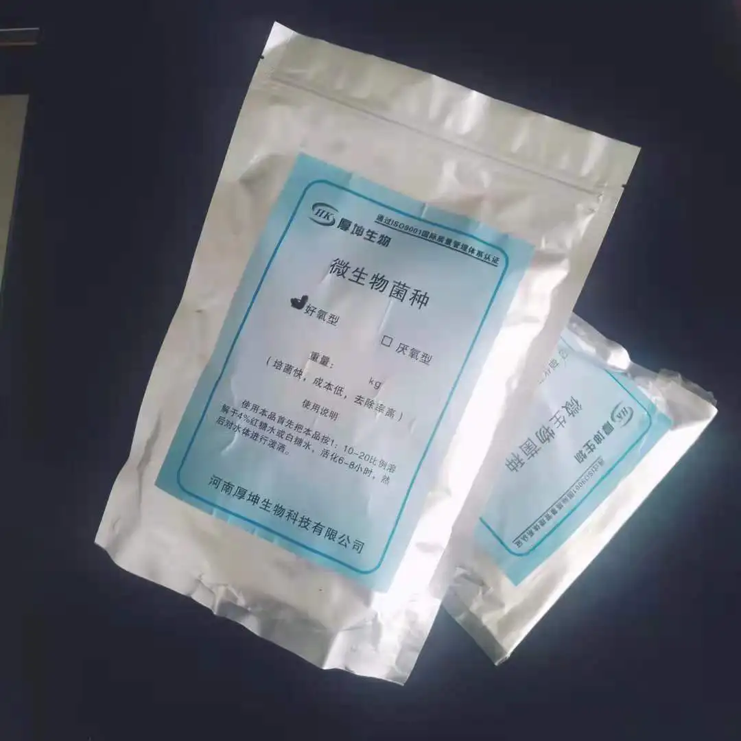 
Aerobic bacteria Microbial strain, Living bacterium content:10 billion/g cheap price with high quality 