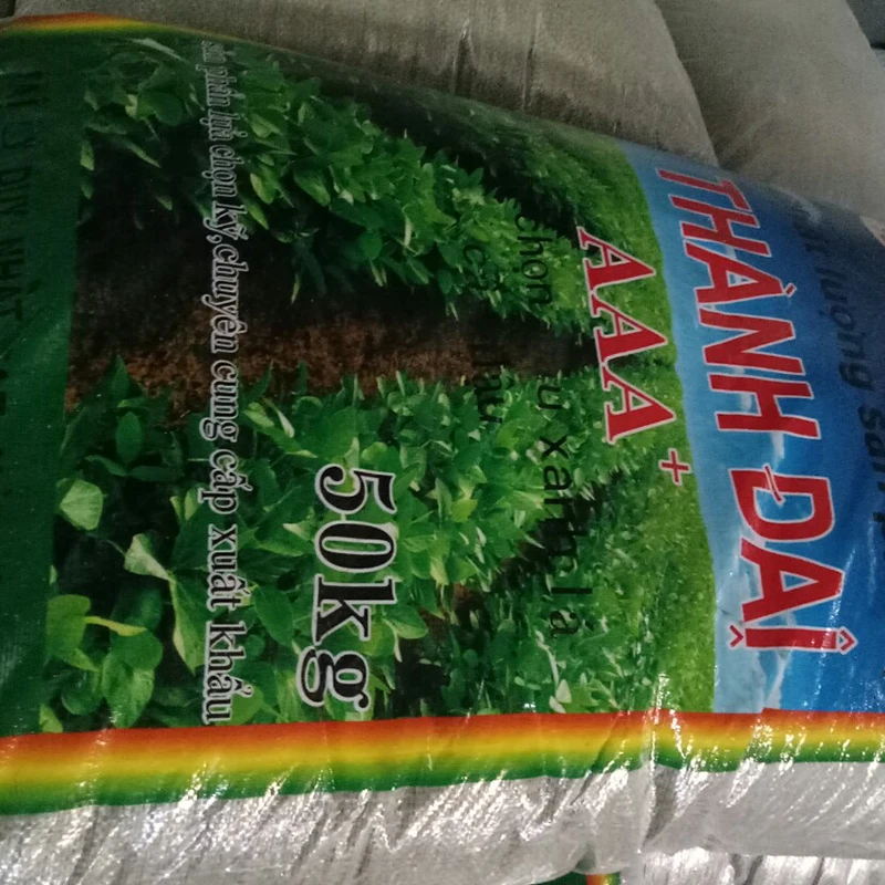 2 6-3 6 мм Sprouting Grade Green Mung Bean для вьетнамского рынка