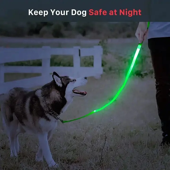 Led Dog Glow In Dark Adjustable Luminous Collar Light Up Dog Leashes Night Glowing Usb Rechargeable Led Dog Leash