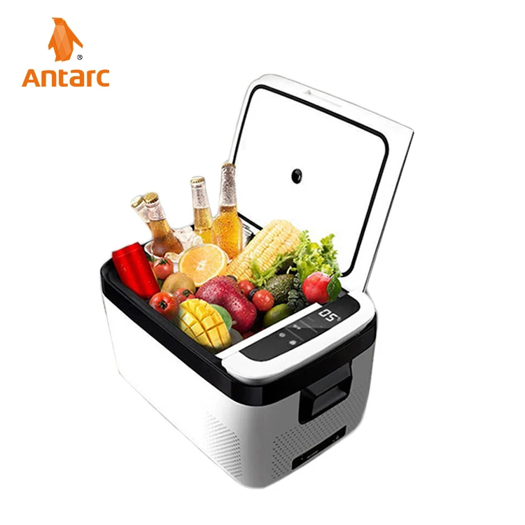 Economical Custom Design 20L Small Refrigerator Mini Car Fridge Compressor Camping Outdoor Freezer Car Fridges