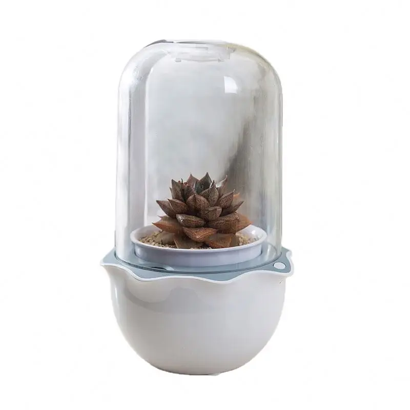 Smart succulent  pot indoor succulent live and candles succulent planter pot