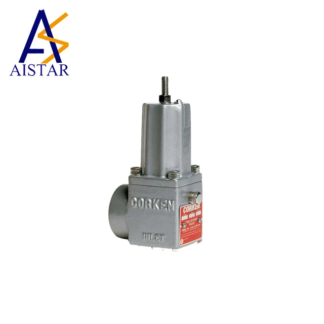 China OEM  DN 25 Bypass Valve For Lpg Station