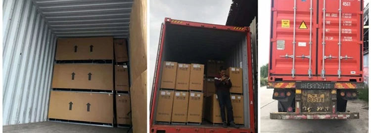 shipping citycoco.jpg