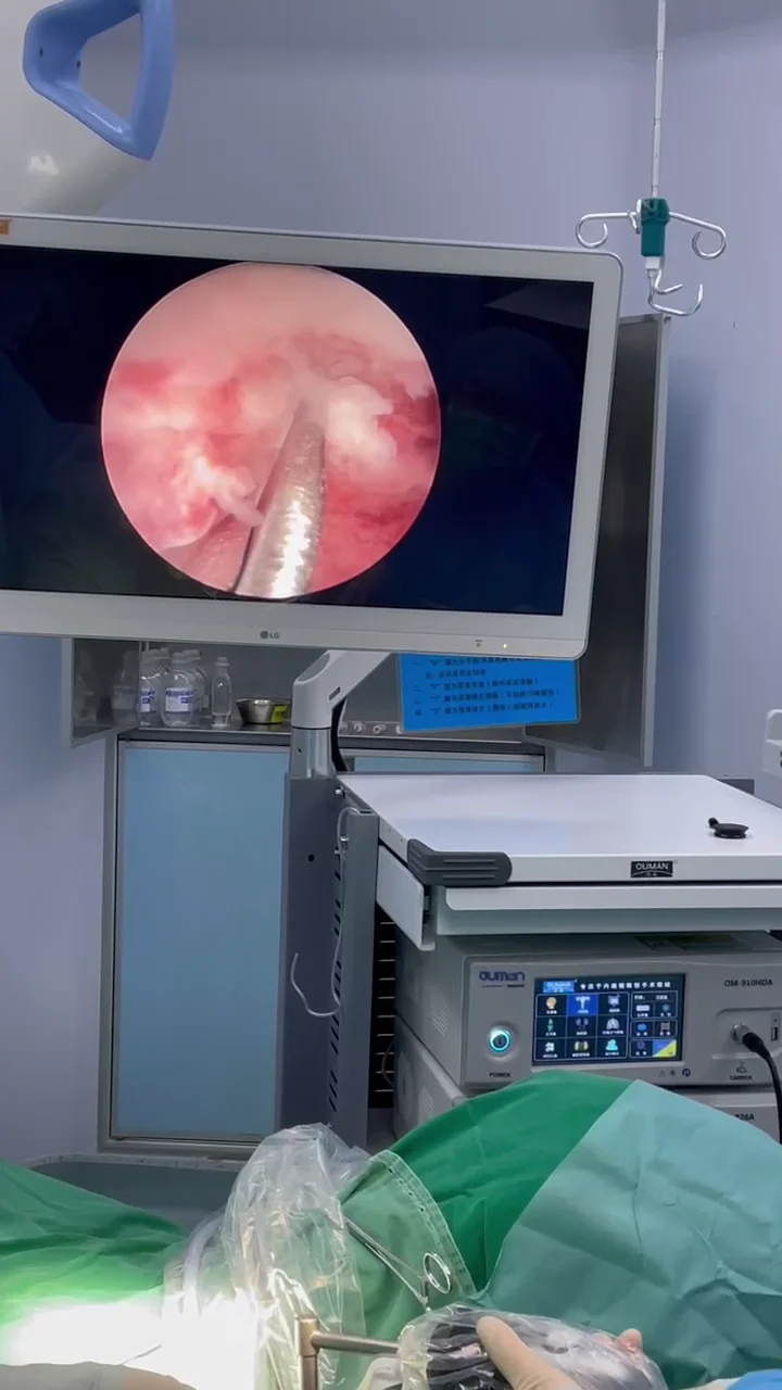 Professional LED medical light source for endoscope camera system