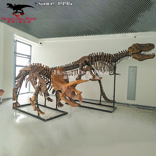 Realistic Dinosaur Fossil  Dinosaur Skeleton