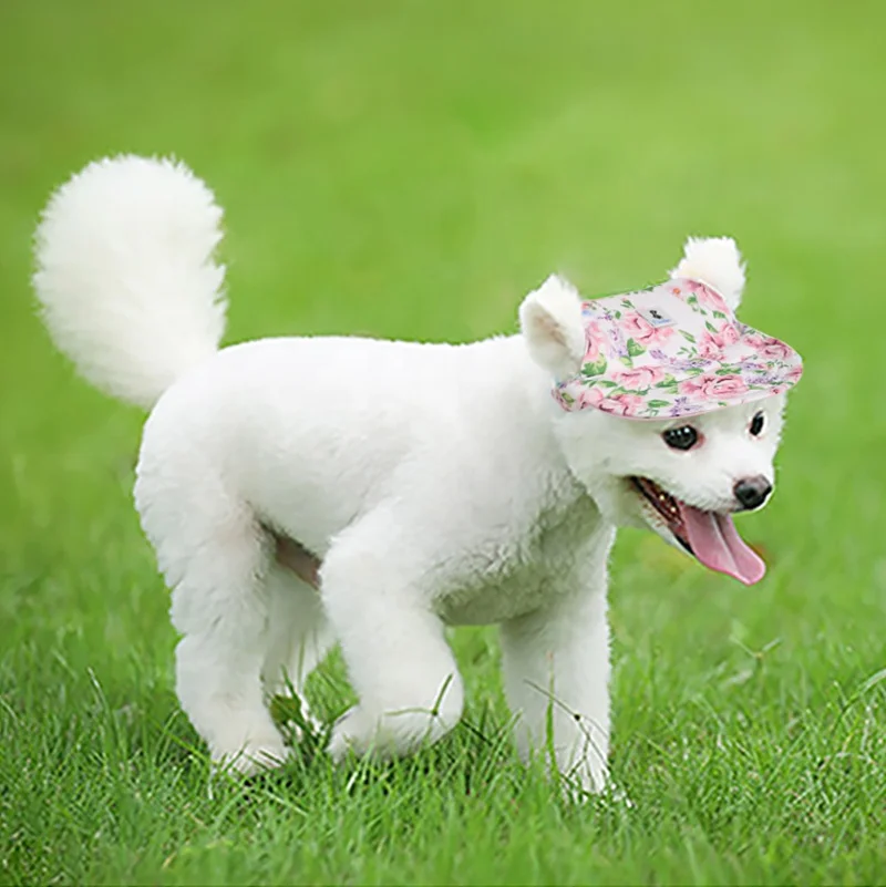 Top quality dog hat for sale soft and comfortable pet hat for summer weather protection dogs eye against sunshine