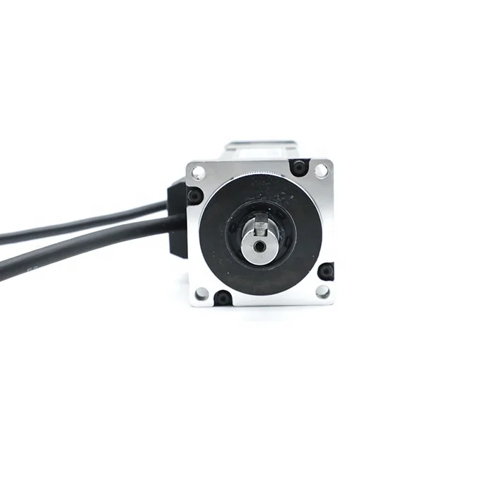 60MM 200w 310V ROHS CE ISO customizable factory direct supply MICRO DC SERVO MOTOR for bldc servo motor