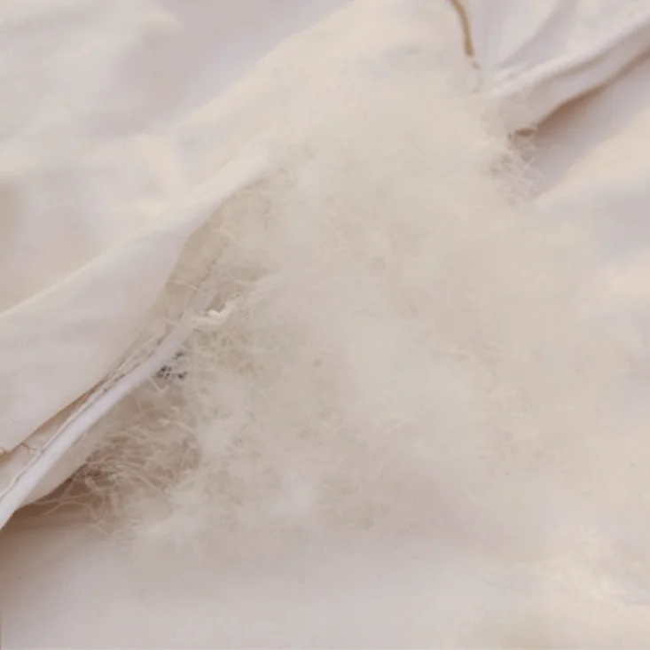 Living Room Cushion,5 star hotel premium quality 60*80cm 30% white goose down pillow