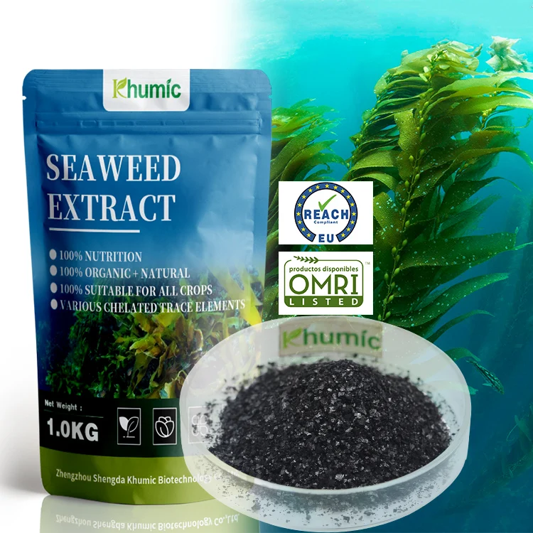 manufacturer supply 100% water soluble  kelp source Alga seaweed extract fertilizer