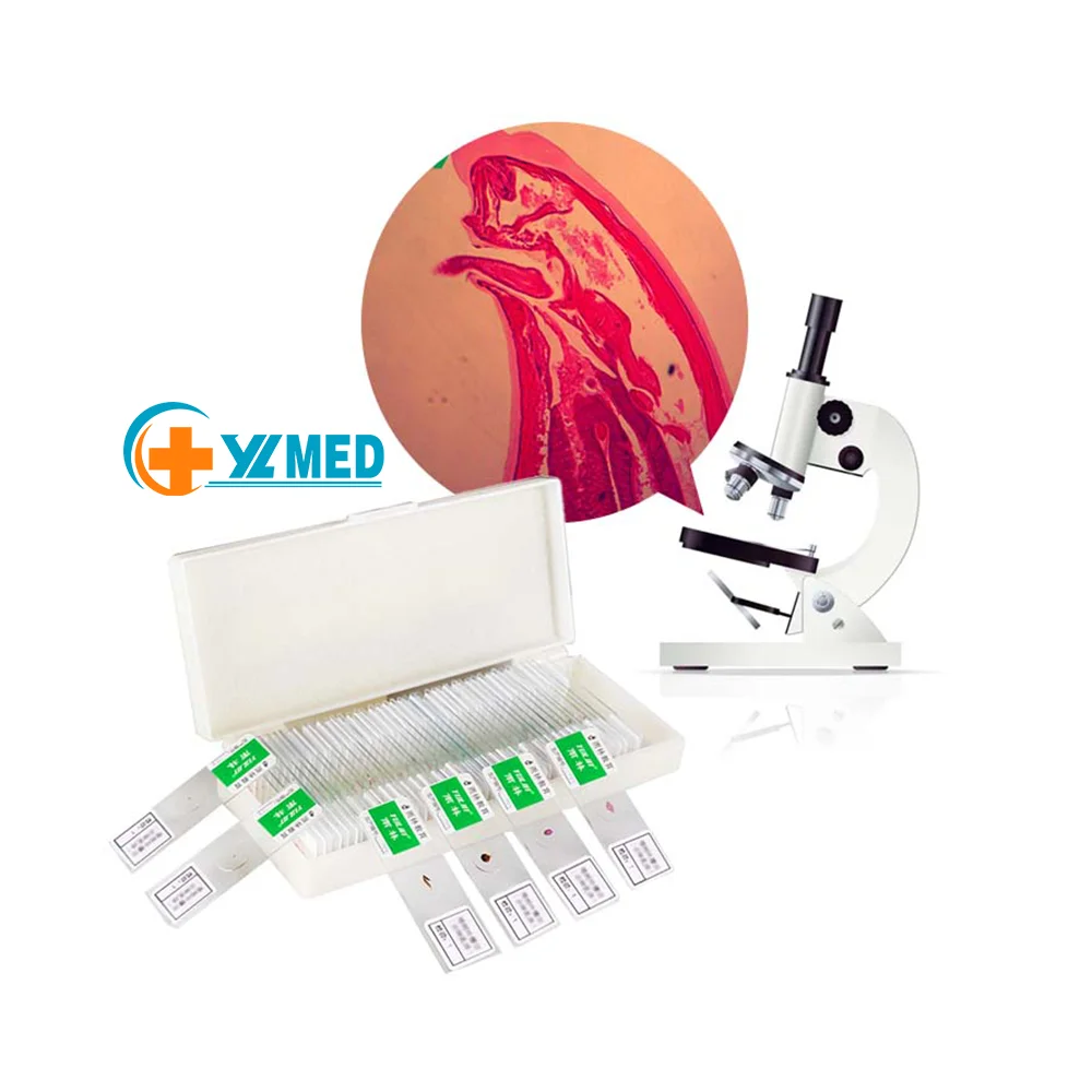 Заводская биология медицинские паразитологические биологические слайды животных подготовленные для использования в микроскопах подготовленных университета