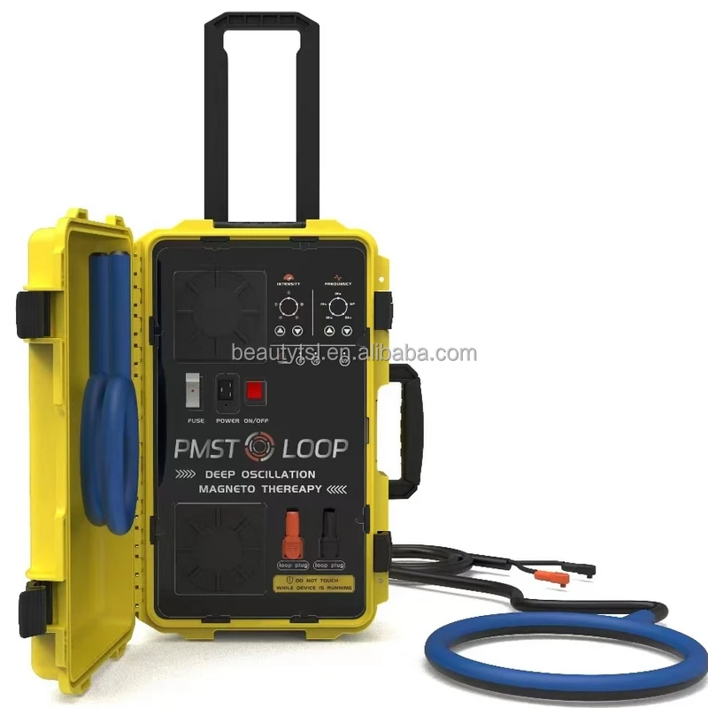 Professional Physio Double Loop Back Bone Pmst Magneto Physiotherapy Magnetotherapy Pmef Pain Relief Machine On Sale