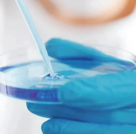 Wholesale Disposable Plastic Tissue Culture Cell Culture Dishes Sterilized TC Treated Petri Dish For Lab