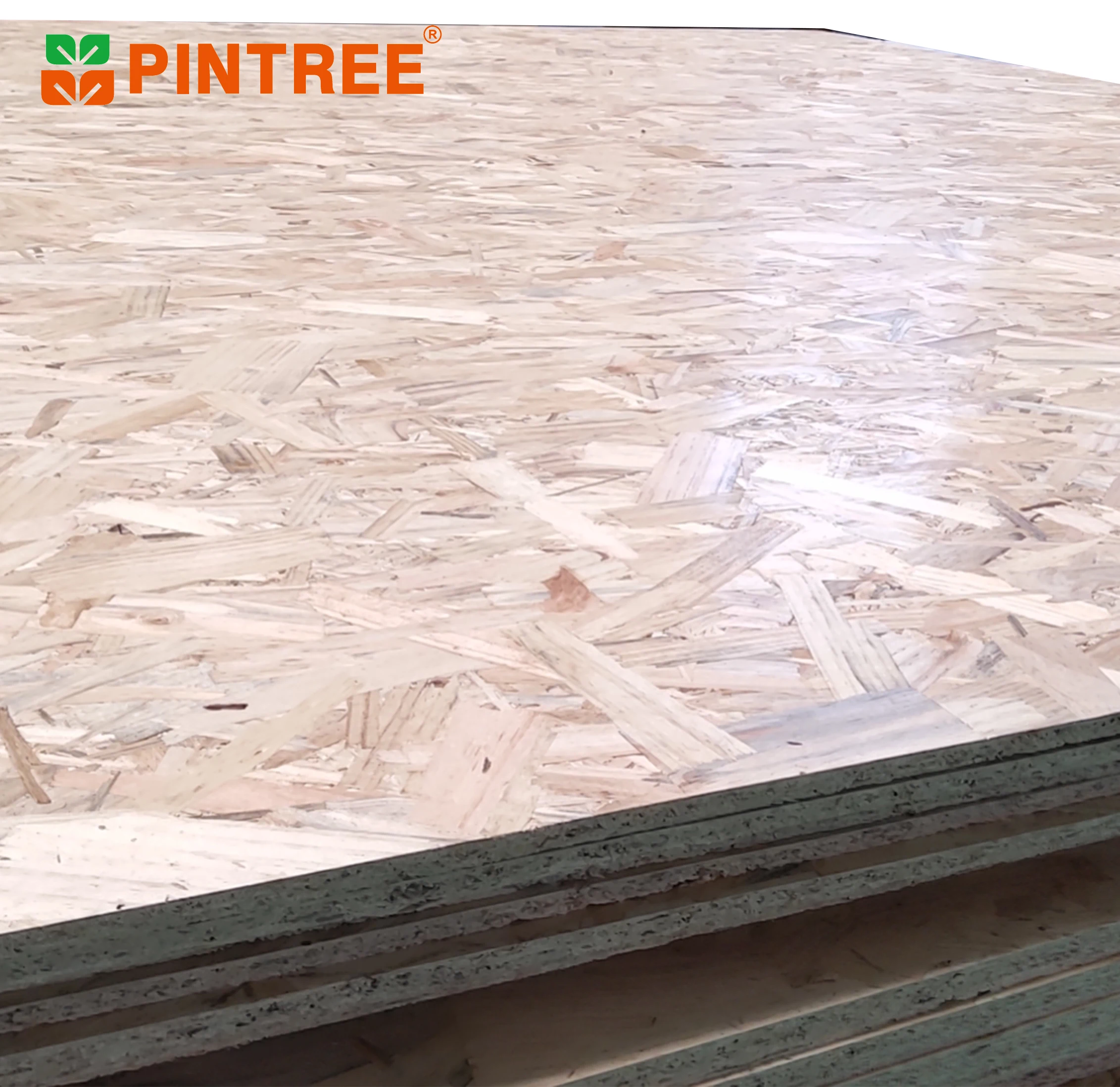Poplar osb /waterproof osb plywood/1220*2440mm cheap OSB,high quality OSB board,OSB prices