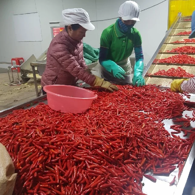 Fresh Frozen G4 Green Chilli