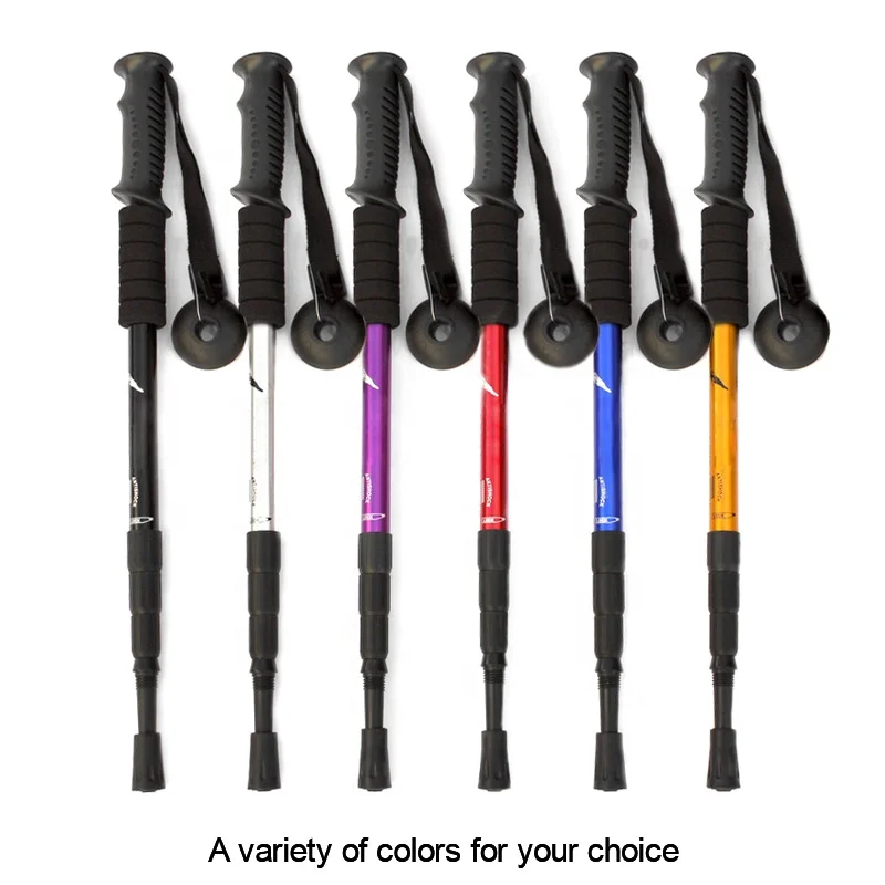 Rebornsun wholesale stick walking special hiking sticks nordic walking pole outdoor stick aluminum walking poles