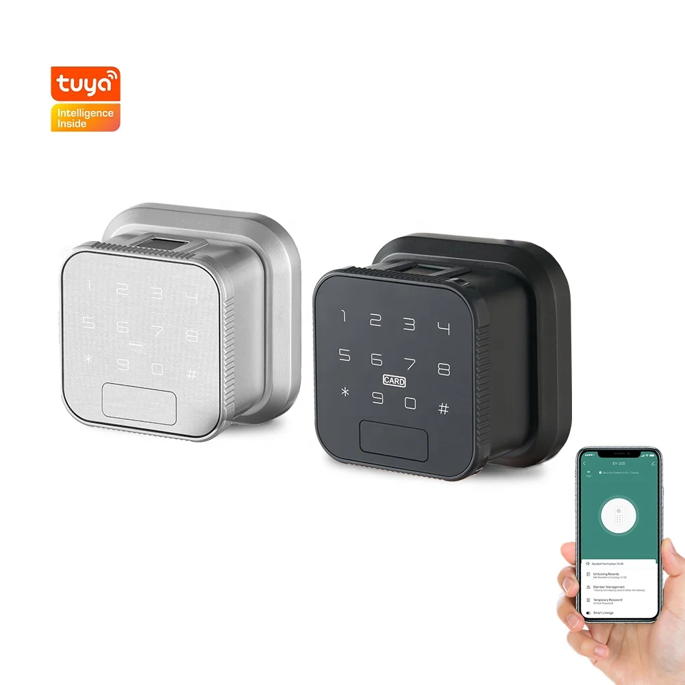 Eseye Smart Home Remote Control Intelligent NFC Rfid Card Keyless Fingerprint Smart Door Lock