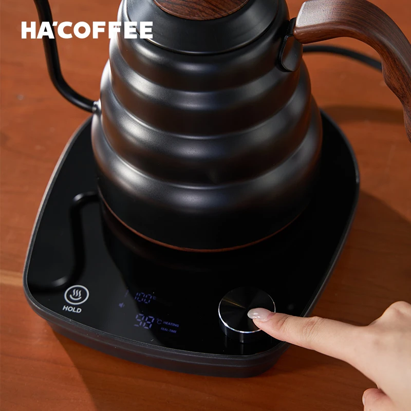 Large Capacity Heating Variable Temperature Control Gooseneck Stainless Steel Electric Coffee Kettle