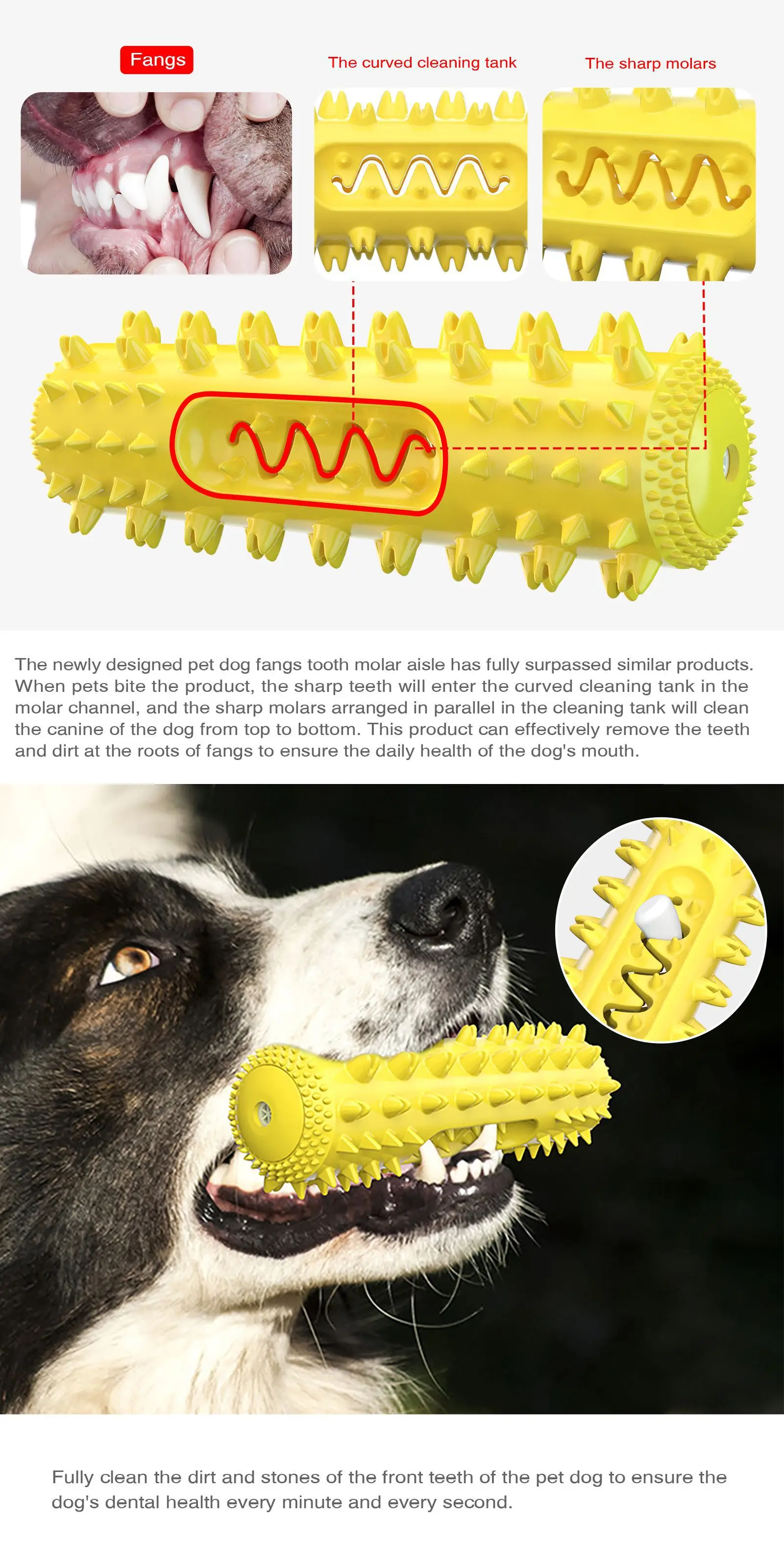 Interactive Toys Cute Funny Dental Care Dog Toothbrush Chew Toy,world voyager-12, dog toothbrush toy, dog toothbrush chew toy, chew toothbrush dog toys