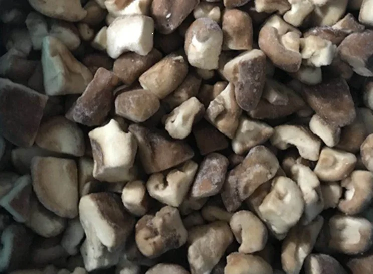 IQF frozen suillus granulatus mushroom Boletus Luteus  frozen Annulated boletus, mixed mushroom frozen nameko oyster  boletus
