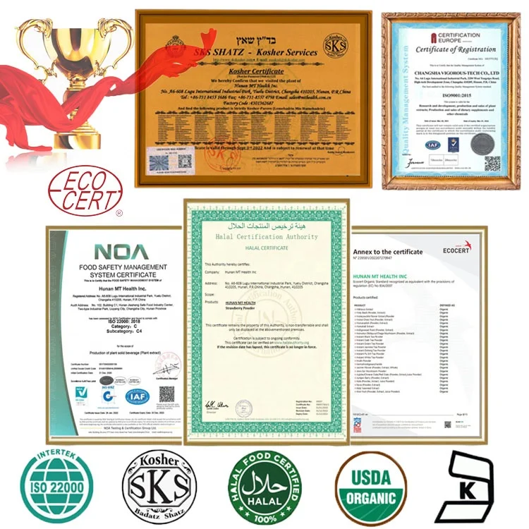 Free sample High quality 100% Organic Grapefruit Seed Extract powder 10:1 Citrus paradisi extract Grapefruit seed extract bulk