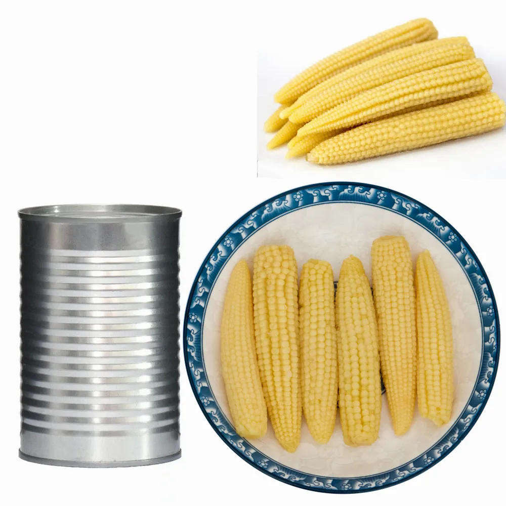 KWS Light sweet taste canned baby corn young corn from China