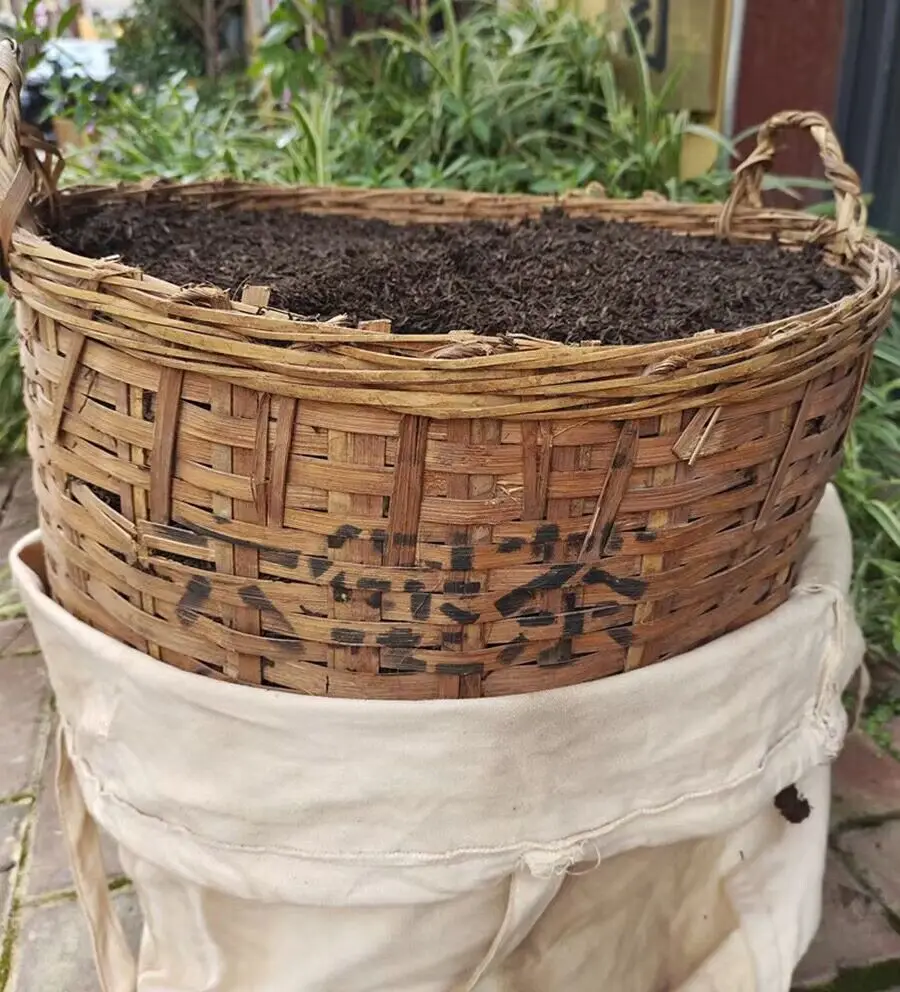 5 Years Old Post-Fermented Guangxi Liubao Dark Jinhua Tea