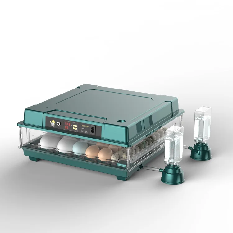Automatic Temperature Control 42 Eggs Hatching Machine Fully Automatic Poultry Egg Incubator