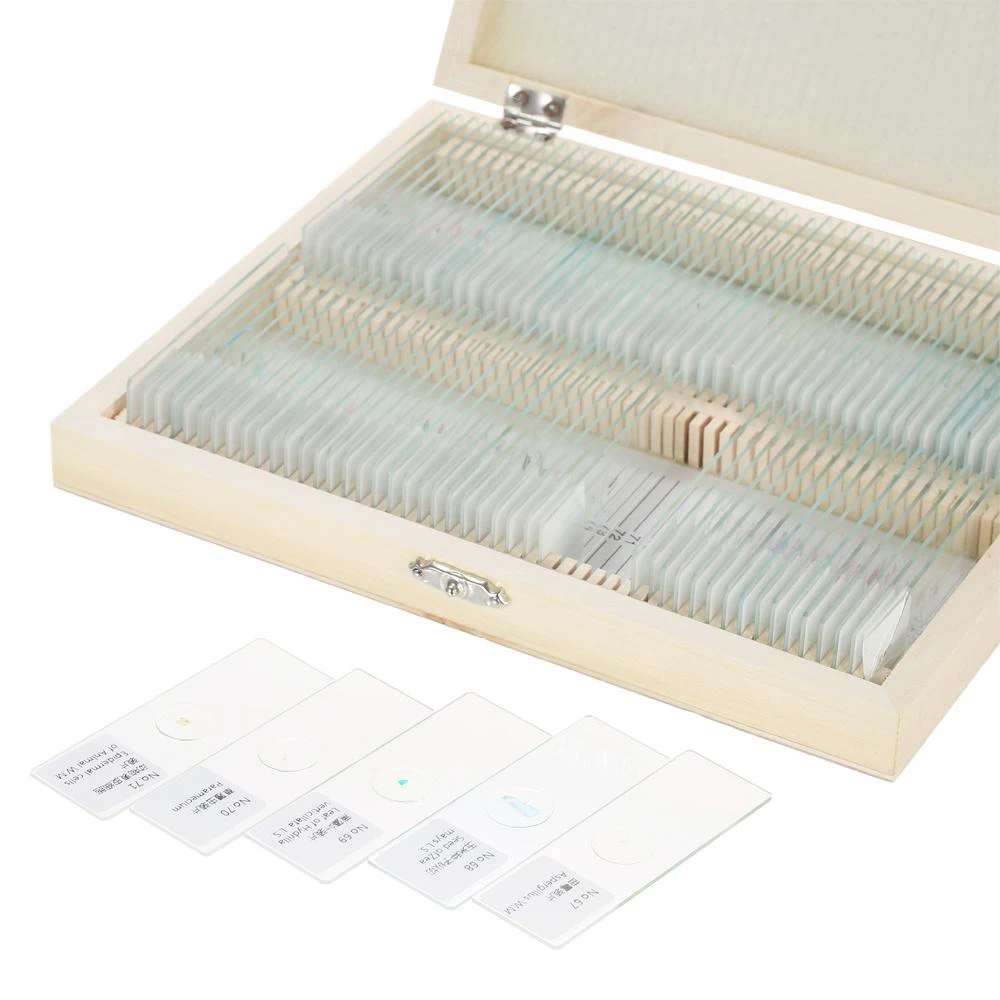 Fixed 100 Items Different Prepared Microscope Histology Slides Set