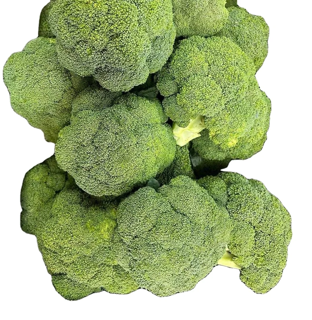100% ORGANIC FROZEN BROCCOLI with HIGH QUALITY FROM VIET NAM